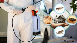 أدوات وتقنيات مكافحة القوارض والحشرات